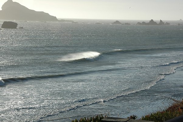 DSC 8028