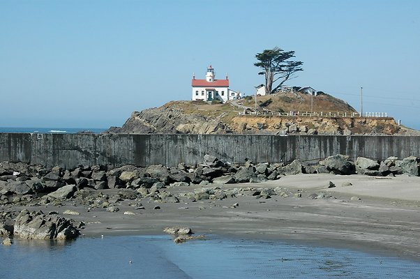 DSC 7981
